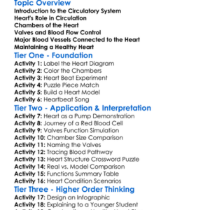 Circulatory System Heart Structure Worksheet Activity Booklet