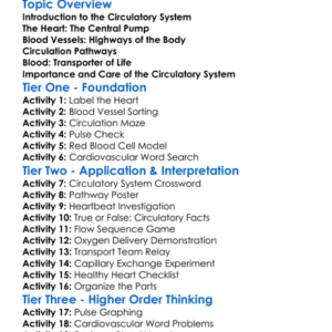 Circulatory System Overview Worksheet Activity Booklet