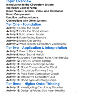 Circulatory System Structure Worksheet Activity Booklet