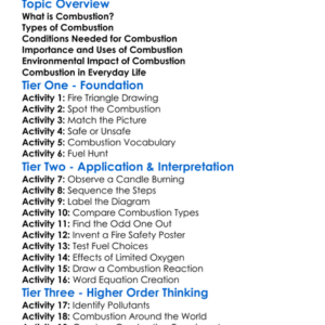 Combustion Worksheet Activity Booklet