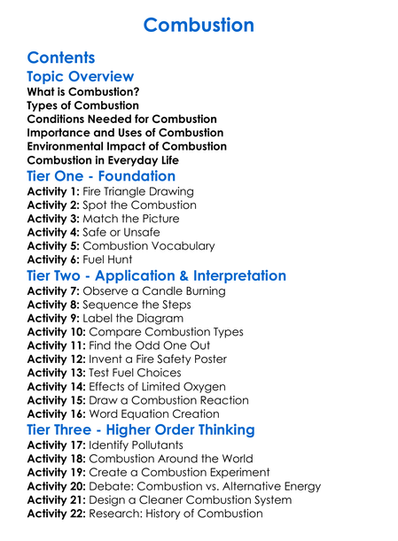 Combustion Worksheet Activity Booklet
