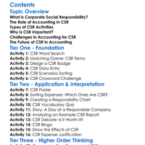 Corporate Social Responsibility In Accounting Worksheet Activity Booklet