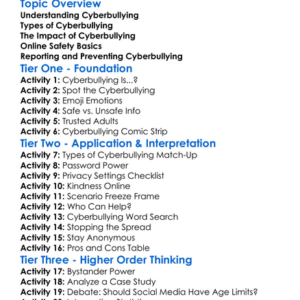 Cyberbullying And Online Safety Worksheet Activity Booklet