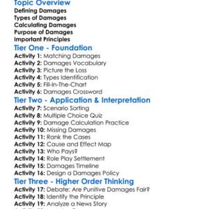 Damages Worksheet Activity Booklet