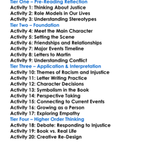 Dear Martin Nic Stone Worksheet Activity Booklet