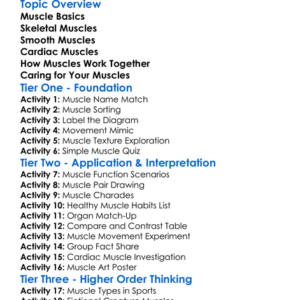 Different Types Of Muscles Worksheet Activity Booklet