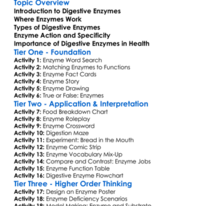 Digestive Enzymes Worksheet Activity Booklet