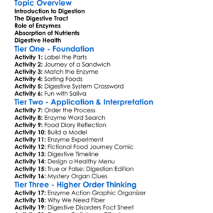 Digestive Process And Enzymes Worksheet Activity Booklet