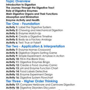 Digestive Processes And Enzymes Worksheet Activity Booklet