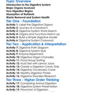 Digestive System Overview Worksheet Activity Booklet