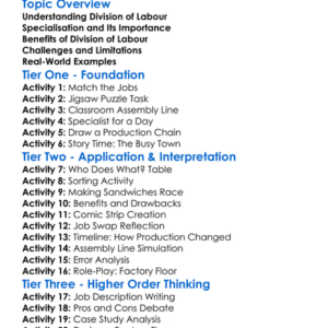 Division Of Labour And Specialisation Worksheet Activity Booklet