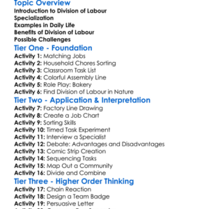 Division Of Labour Worksheet Activity Booklet