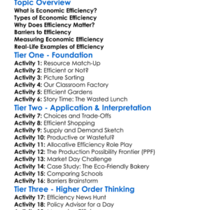 Economic Efficiency Worksheet Activity Booklet