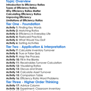 Efficiency Ratios Worksheet Activity Booklet