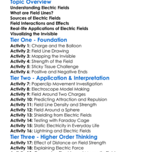 Electric Field And Field Lines Worksheet Activity Booklet