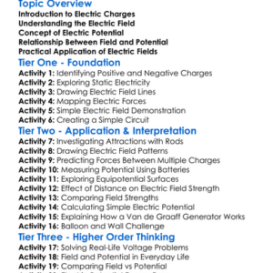 Electric Field And Potential Worksheet Activity Booklet