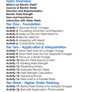 Electric Field Worksheet Activity Booklet