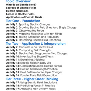 Electric Fields Worksheet Activity Booklet