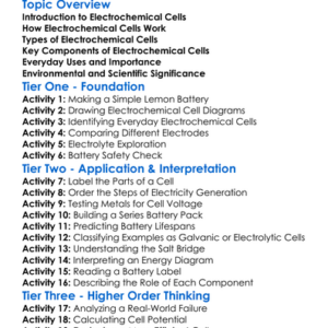 Electrochemical Cells Worksheet Activity Booklet