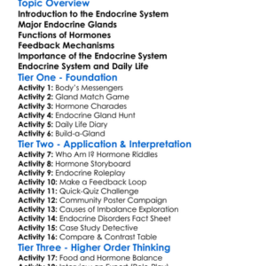 Endocrine System In Humans Worksheet Activity Booklet