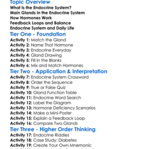 Endocrine System Overview Worksheet Activity Booklet