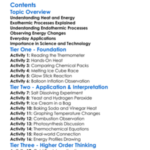Endothermic And Exothermic Processes Worksheet Activity Booklet
