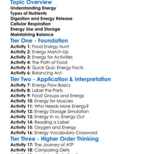 Energy Flow In The Body Worksheet Activity Booklet