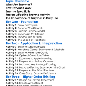 Enzyme Function And Activity Worksheet Activity Booklet