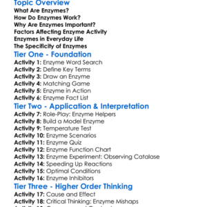 Enzyme Function Worksheet Activity Booklet