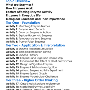 Enzymes And Biological Reactions Worksheet Activity Booklet