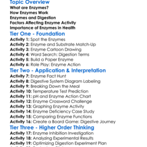 Enzymes And Digestion Worksheet Activity Booklet