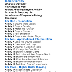 Enzymes And Their Role In Biology Worksheet Activity Booklet