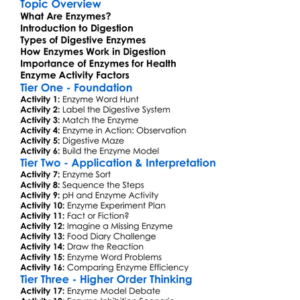 Enzymes And Their Role In Digestion Worksheet Activity Booklet
