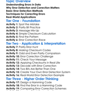 Error Detection And Correction Worksheet Activity Booklet