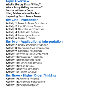 Essay Writing About Literature Worksheet Activity Booklet