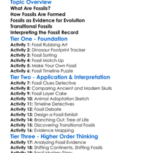 Evolutionary Evidence In Fossils Worksheet Activity Booklet