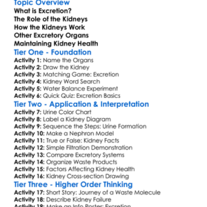 Excretion And The Kidneys Worksheet Activity Booklet