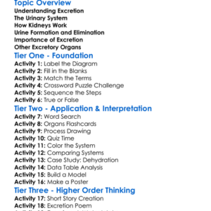 Excretion And The Urinary System Worksheet Activity Booklet