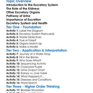Excretory System In Humans Worksheet Activity Booklet