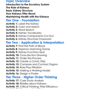 Excretory System Kidney Structure Worksheet Activity Booklet