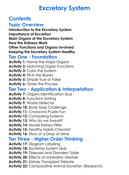 Excretory System Worksheet Activity Booklet