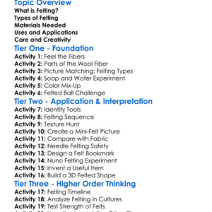 Felting Processes Worksheet Activity Booklet