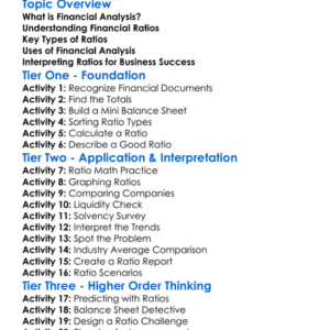 Financial Analysis And Ratios Worksheet Activity Booklet
