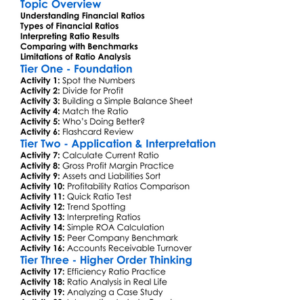 Financial Ratios And Analysis Worksheet Activity Booklet