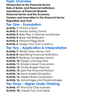 Financial Sector Worksheet Activity Booklet