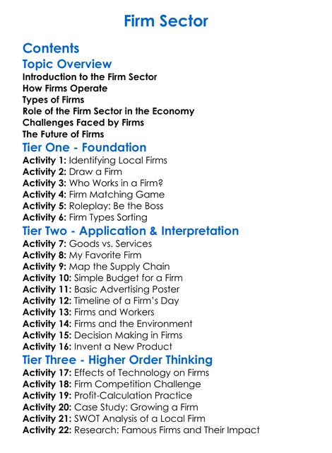 Firm Sector Worksheet Activity Booklet
