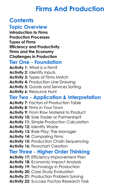 Firms And Production Worksheet Activity Booklet