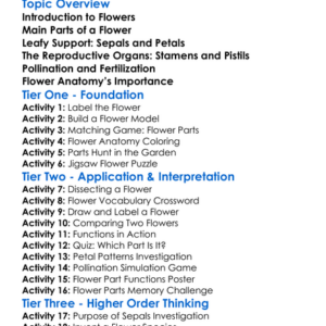 Flower Anatomy Worksheet Activity Booklet