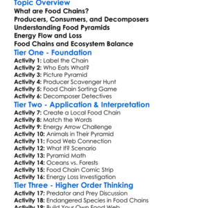 Food Chains And Food Pyramids Worksheet Activity Booklet