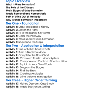 Formation Of Urine Worksheet Activity Booklet